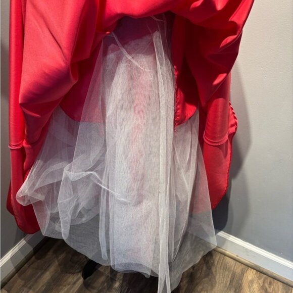 Tiffany Designs pageant Gown Youth Size 16  Lipstick Color Beaded Bodice 13472 - Picture 5 of 11